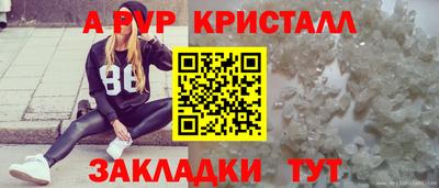 Альфа ПВП Бердск