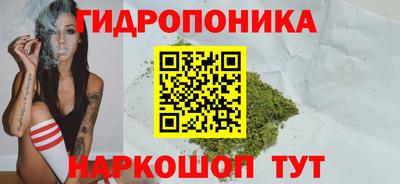 Альфа ПВП Бердск