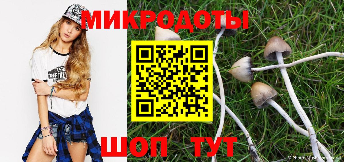 Псилоцибиновые грибы прущие грибы  Вход с VPN  Петрозаводск  Псилоцибиновые грибы мухоморы 