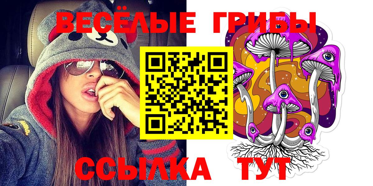 Псилоцибиновые грибы Psilocybe Петрозаводск